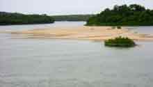 DESEMBOCADURA DEL RIO TUPARRO AL ORINOCO