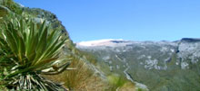 Panormia del Ritacuba Blanco.