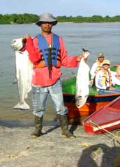 PESCA